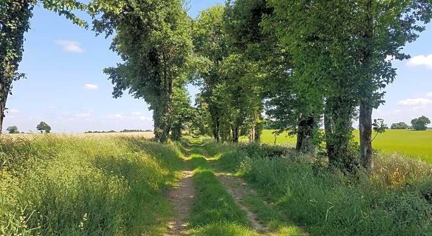 La Vieille Gorce Gites in the Vienne