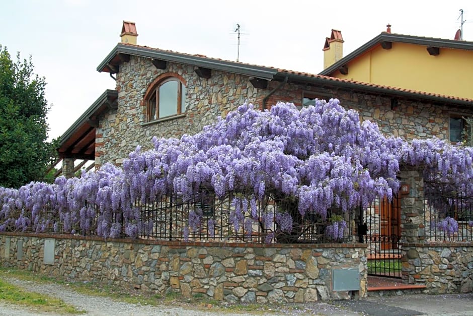 Pietra E Glicine B&B