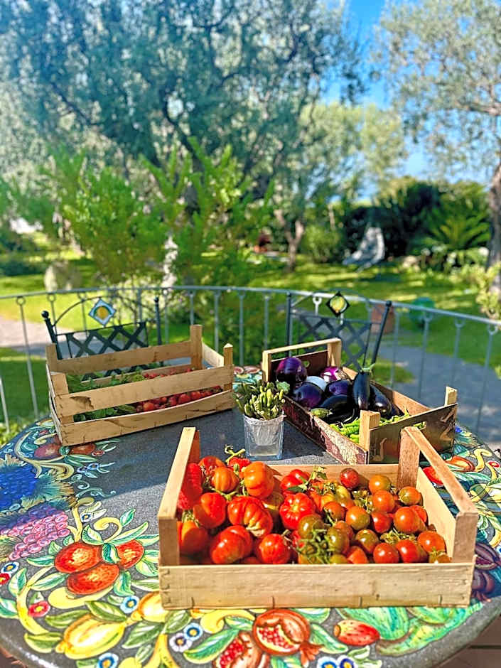 Hotel Boutique Ideal