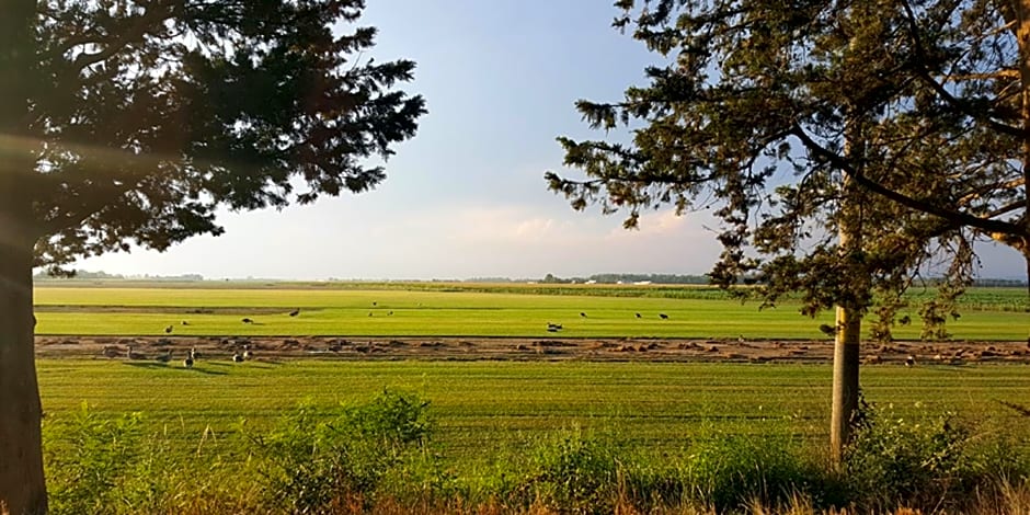 b&b Bigolin Cristina