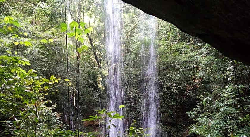 Green lodge tangkahan 