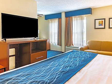 1 King Bed Suite Nonsmoking