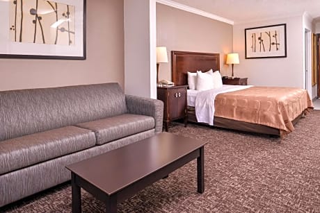 1 King Bed, Suite, Nonsmoking