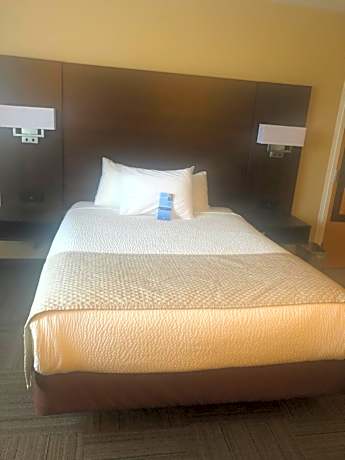 Queen Studio Suite - Non-Smoking - Not Pet Friendly