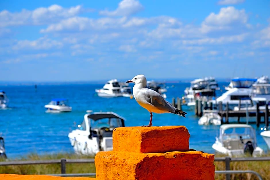 Palms Bed & Breakfast