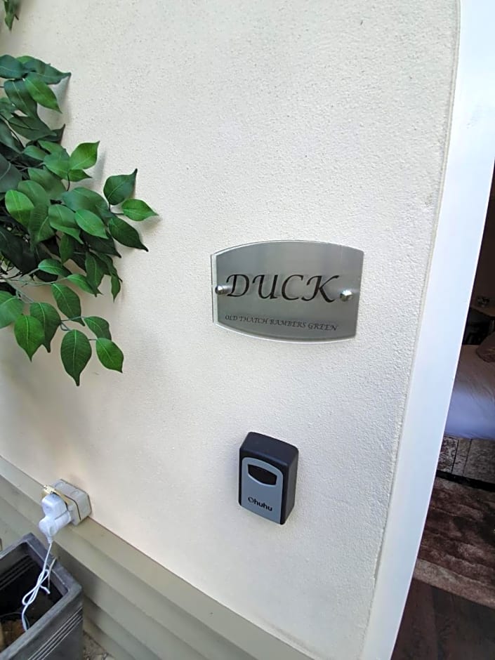 Old Thatch Bambers Green