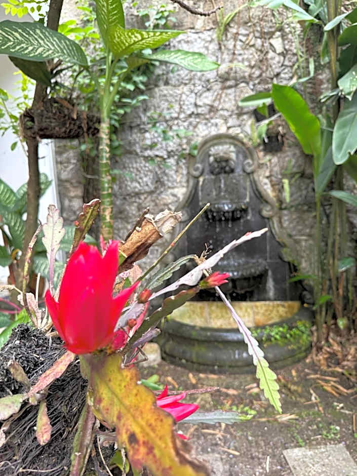 Hotel Magnolia cuetzalan