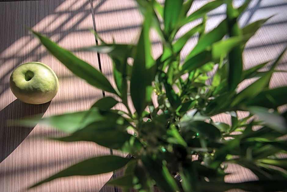 Rosslyn Thracia Hotel Sofia