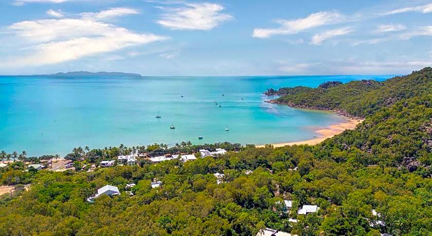 Koala Park by Bounce