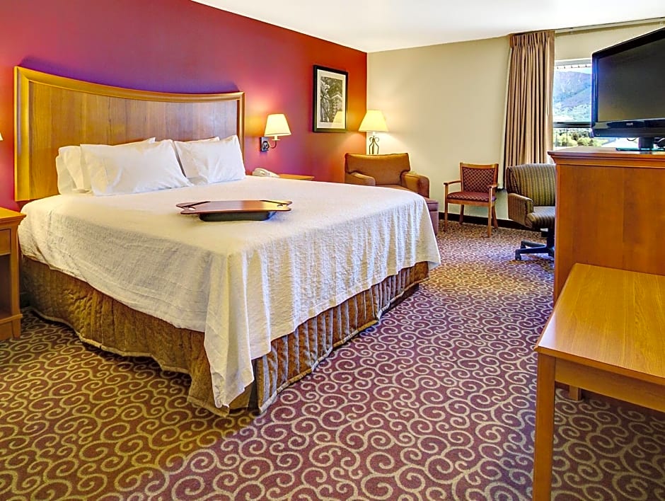 Photo 1 of 5 of 1 King Bed, Hearing/Mobility Accessible, Bathtub