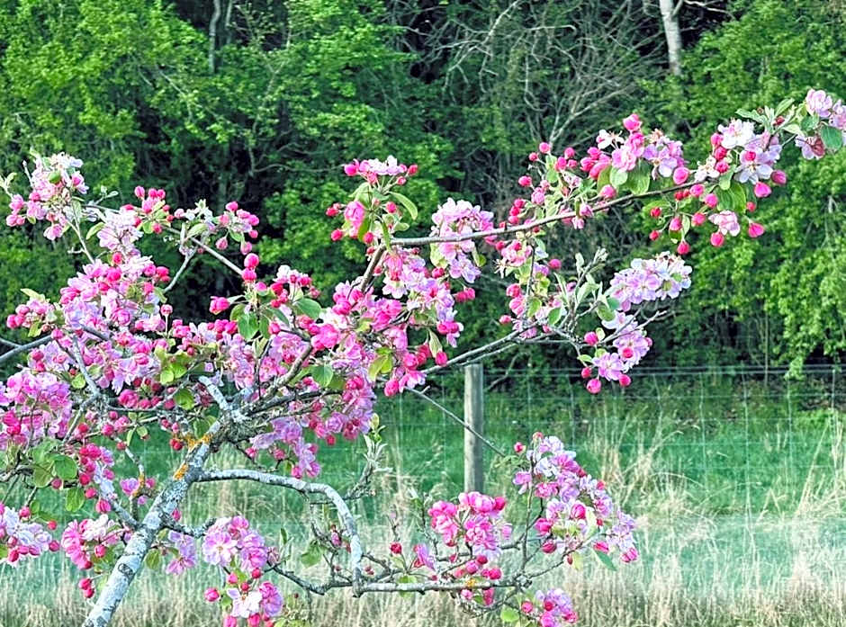 Athol Country Bed & Breakfast