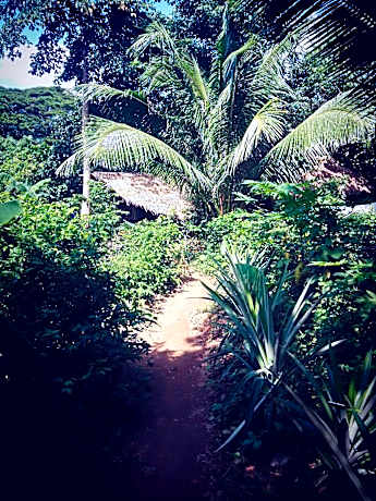 Ecocio Backpackers Hostel