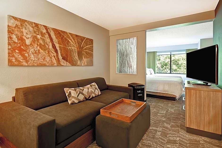 SpringHill Suites by Marriott Atlanta Kennesaw