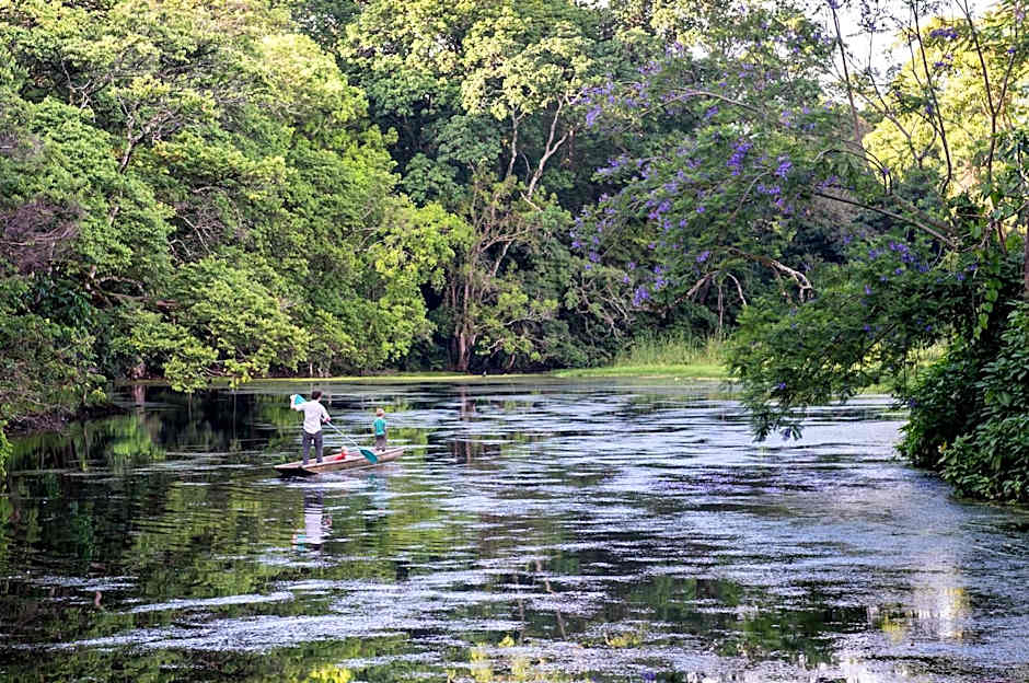Ngare Sero Mountain Lodge