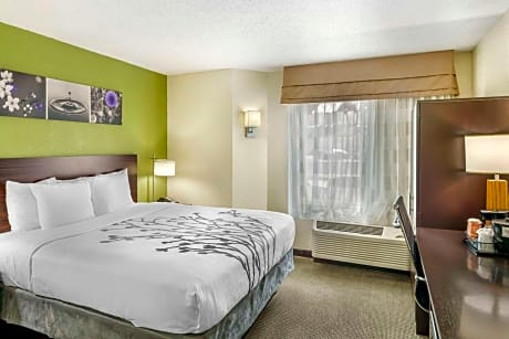 King Room - Non-Smoking