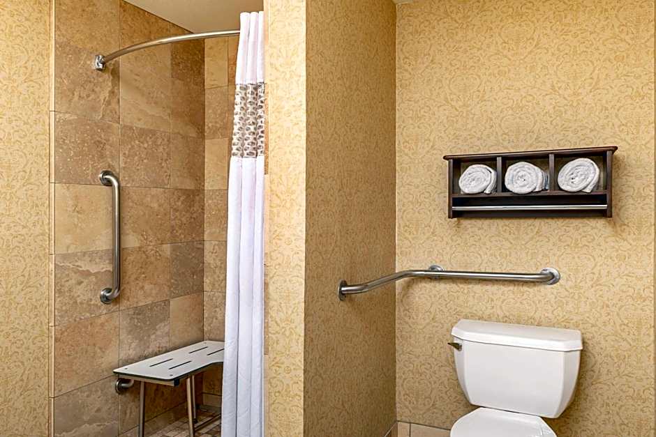 Hampton Inn By Hilton And Suites San Clemente