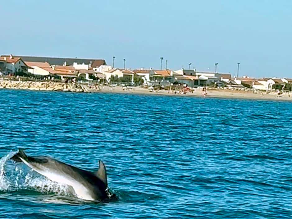 Mas du Couvin, maison d'hôtes en Camargue
