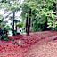 B&B Villa Cernigliaro Dimora Storica