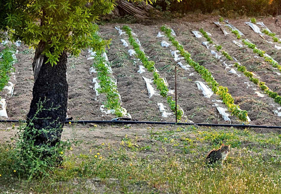 Hotel Villa Favorita