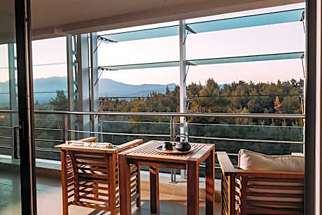 Executive Room with Mountain View