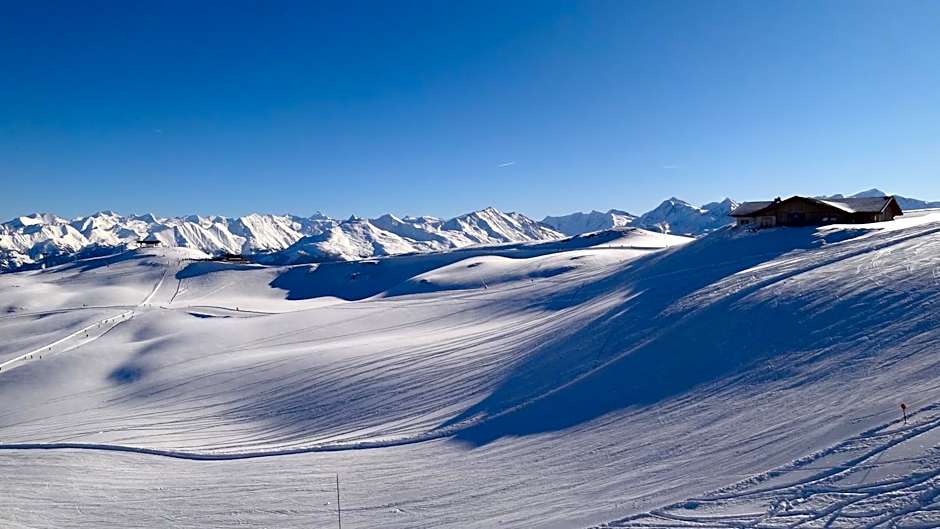 Aparthotel Hohe Brücke