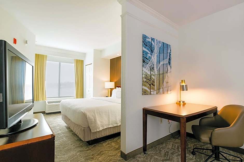 Photo 1 of 6 of 1 King Bed with Trundle Bed Suite, Mobility Accessible, Bathtub