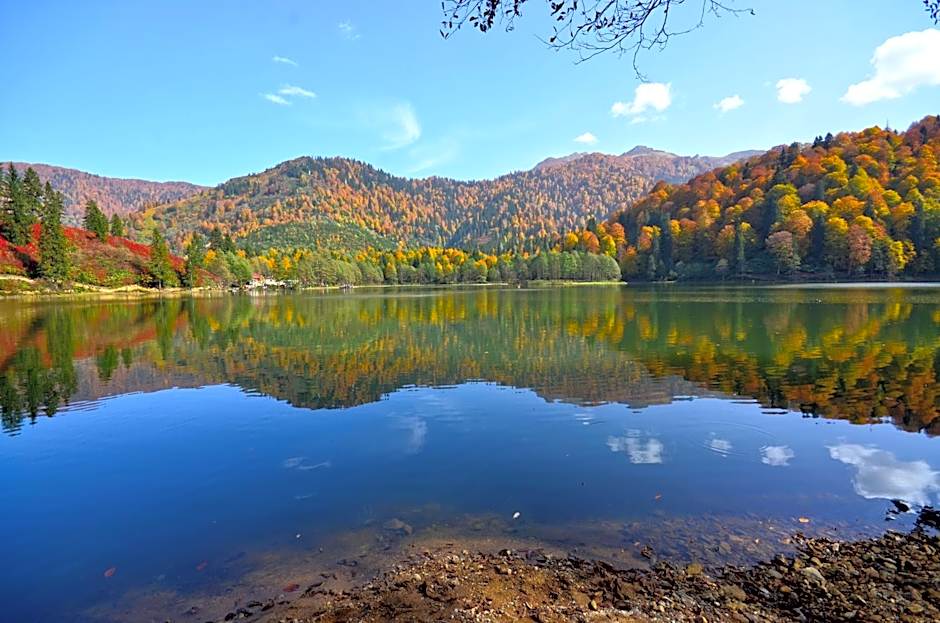 Teona Bungalow & Restaurant