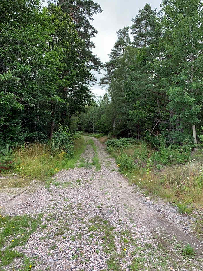 Noah longstay Arboga