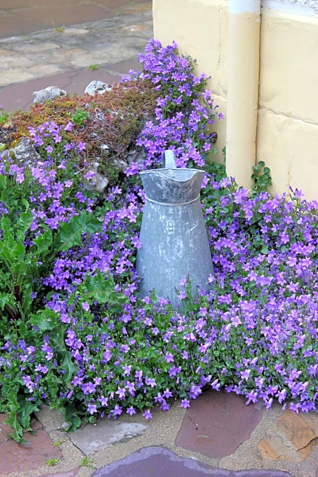 Le Chemin du Village