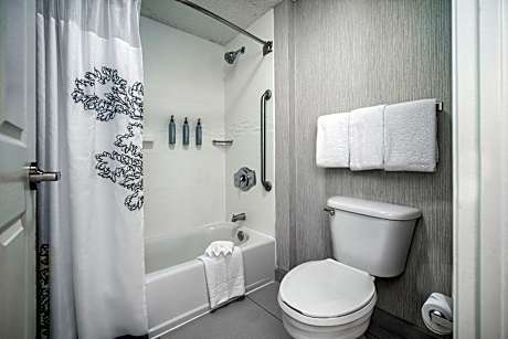 Suite, 1 Bedroom (1 Queen Bed)