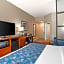Best Western Plus Greenville I-385 Inn & Suites