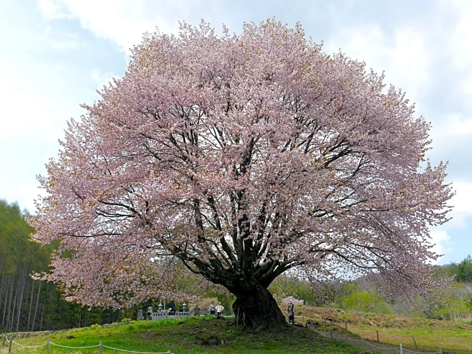 Pension Green Field