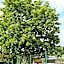 Class'eco Charleroi