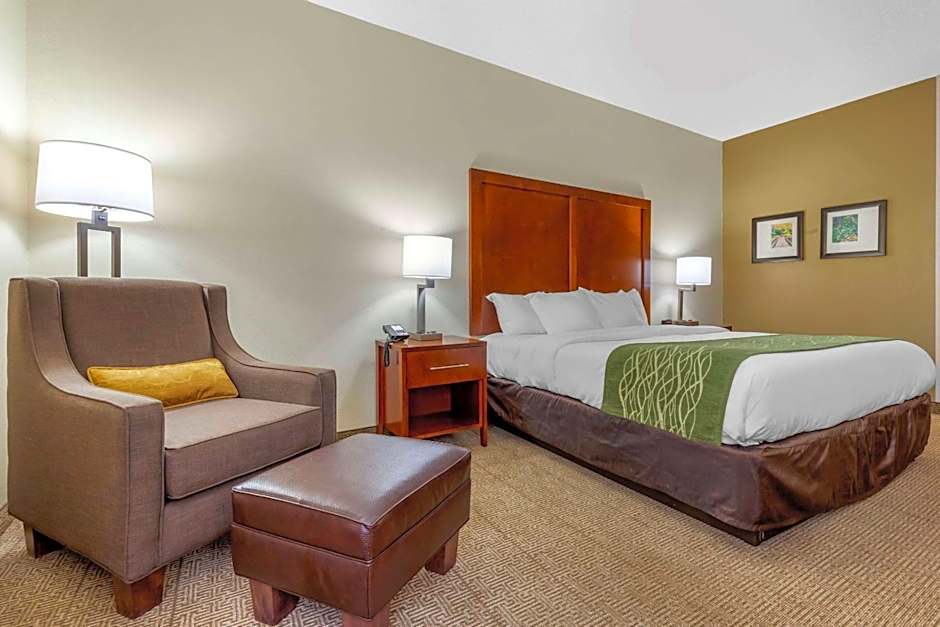 Comfort Inn & Suites Lenoir Hwy 321 Northern Foothills