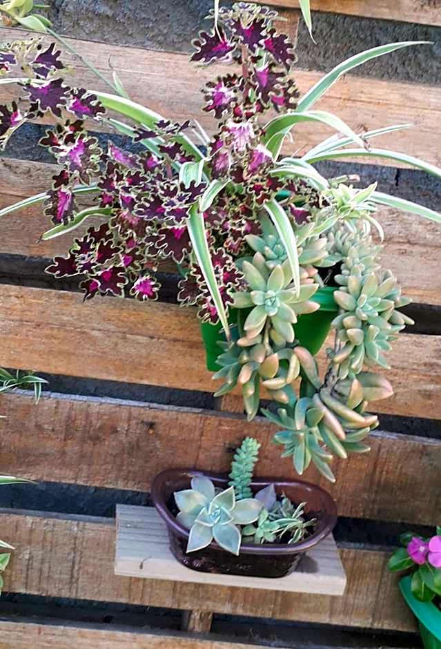 Pousada Beach Eco House Floripa Com Ar Condicionado