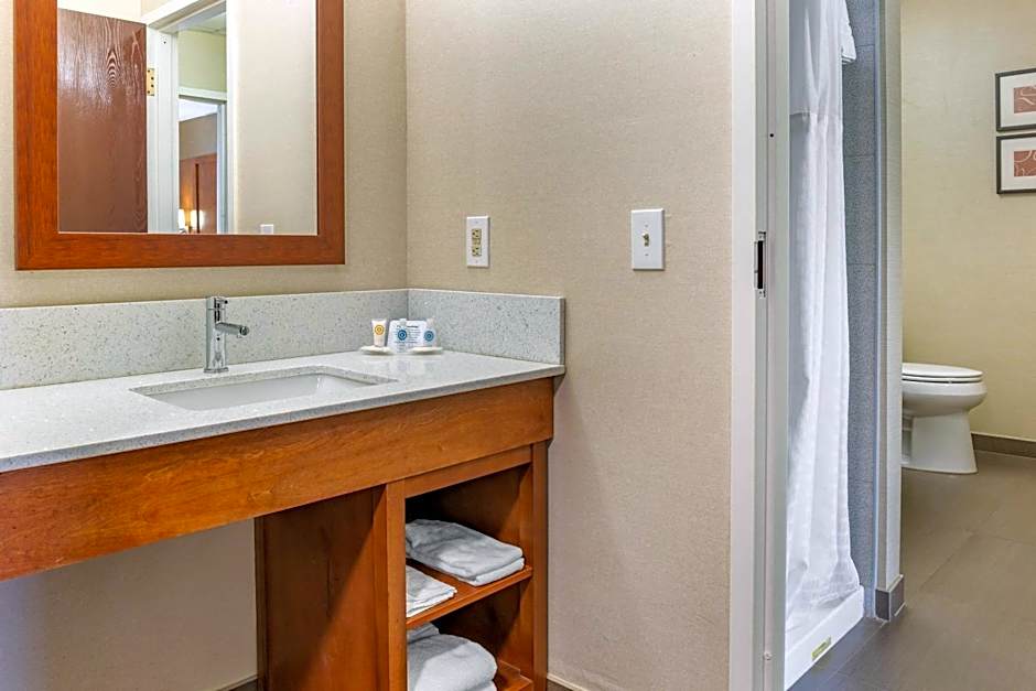 Comfort Suites Dover University Area