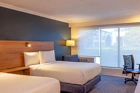 Double Room with Two Double Beds