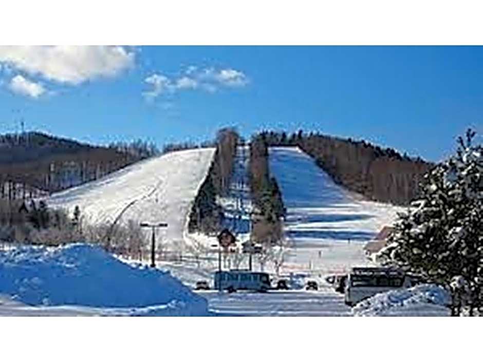 Onsen Hotel Tsutsujiso - Vacation STAY 03256v