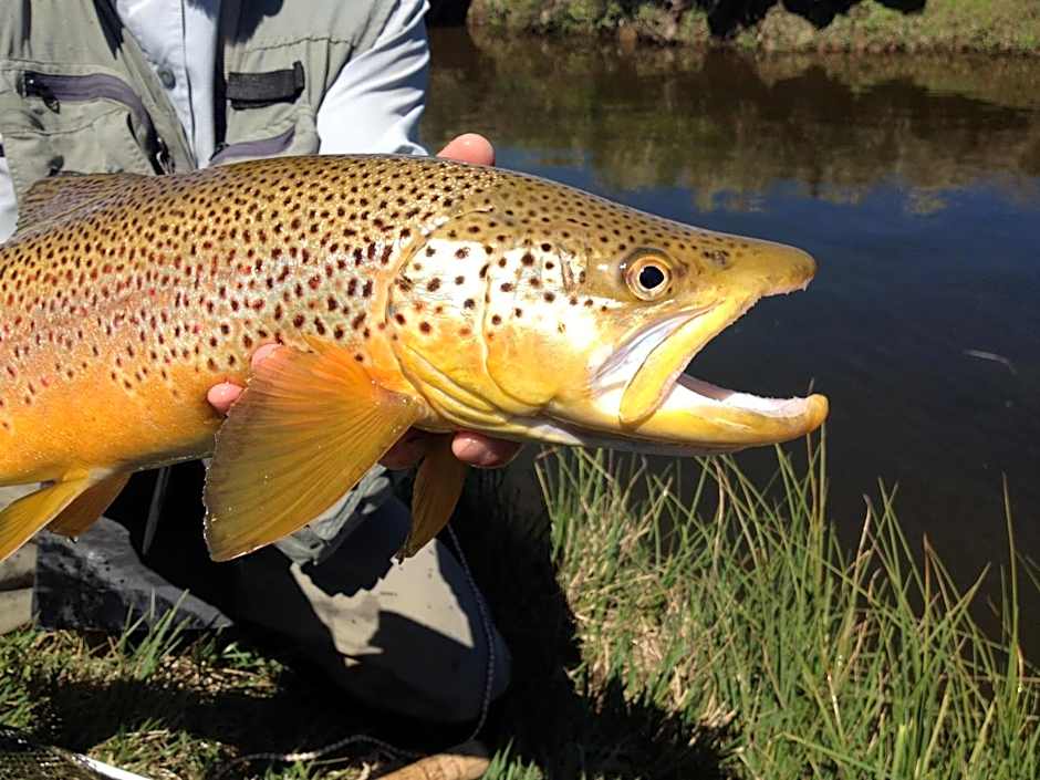 Thousand Lakes Lodge