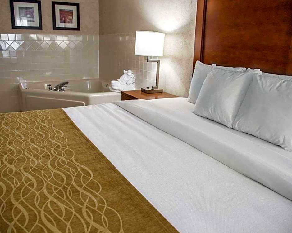 Comfort Inn & Suites Riverview near Davenport and I-80