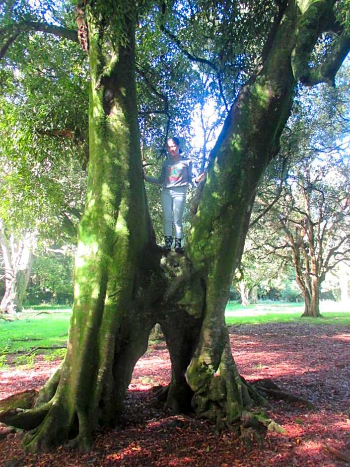 Kauri Lodge Karapiro