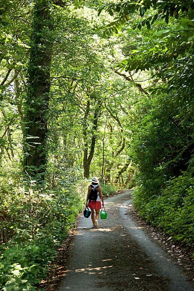 The Valley of Rocks Hotel