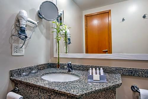 Sao Paulo Tatuape Affiliated by Meliá