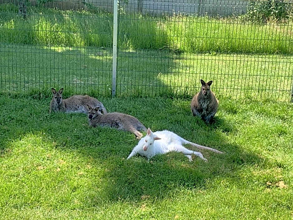 Le Bois aux Cerfs