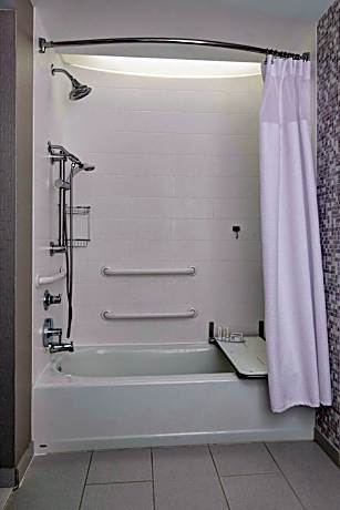 Studio, Multiple Beds (2 Queen Beds and 1 Double Sofa Bed)