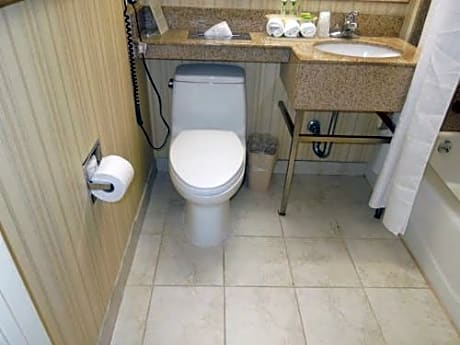 Queen Room - Disability Access Tub