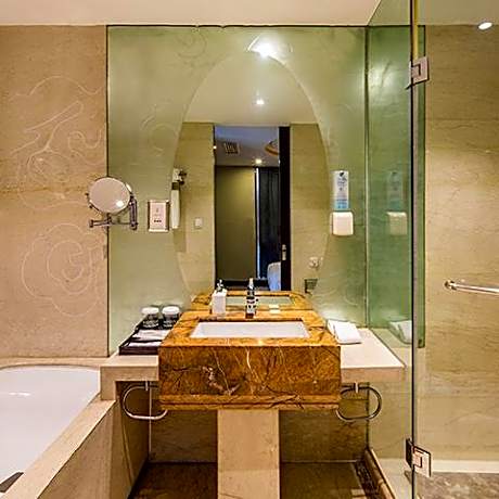 New Century - Deluxe 1 Bed Room, City View