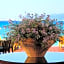The Terrace Club at Busena - Adult Only