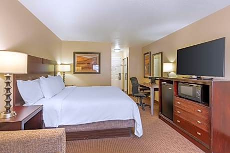 1 King Bed Non-Smoking Sofabed Work Desk Refrigerator Full Breakfast