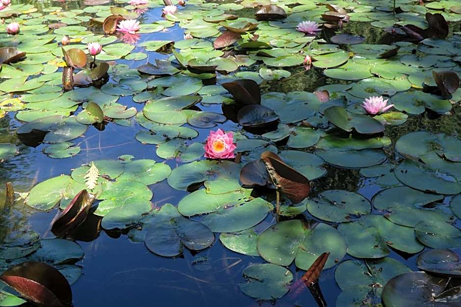 Log Inn Bonners Ferry